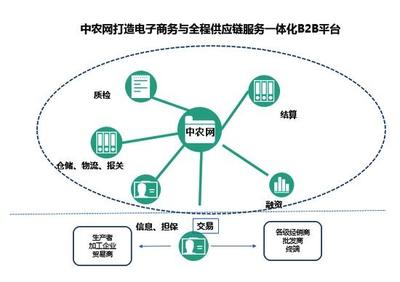 B2B前10強唯一上榜農企 解碼中農網供應鏈管理服務的崛起之路