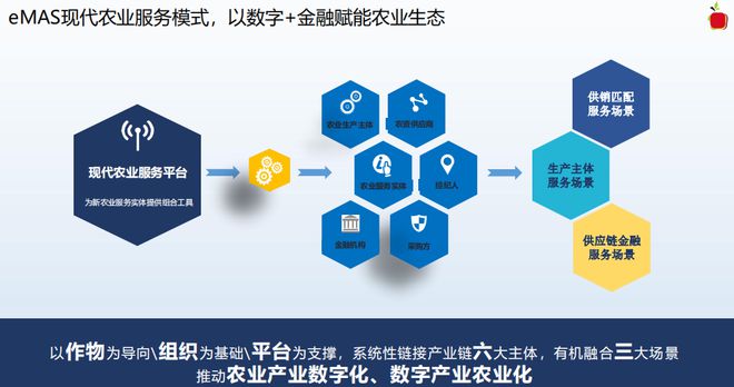 蘋果公司的農業供應鏈 財務會計視角下的規模、管理與創新
